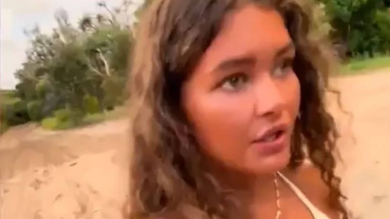 Туристка сняла рискованное видео на пляже с дикими собаками и стала предвестницей трагедии