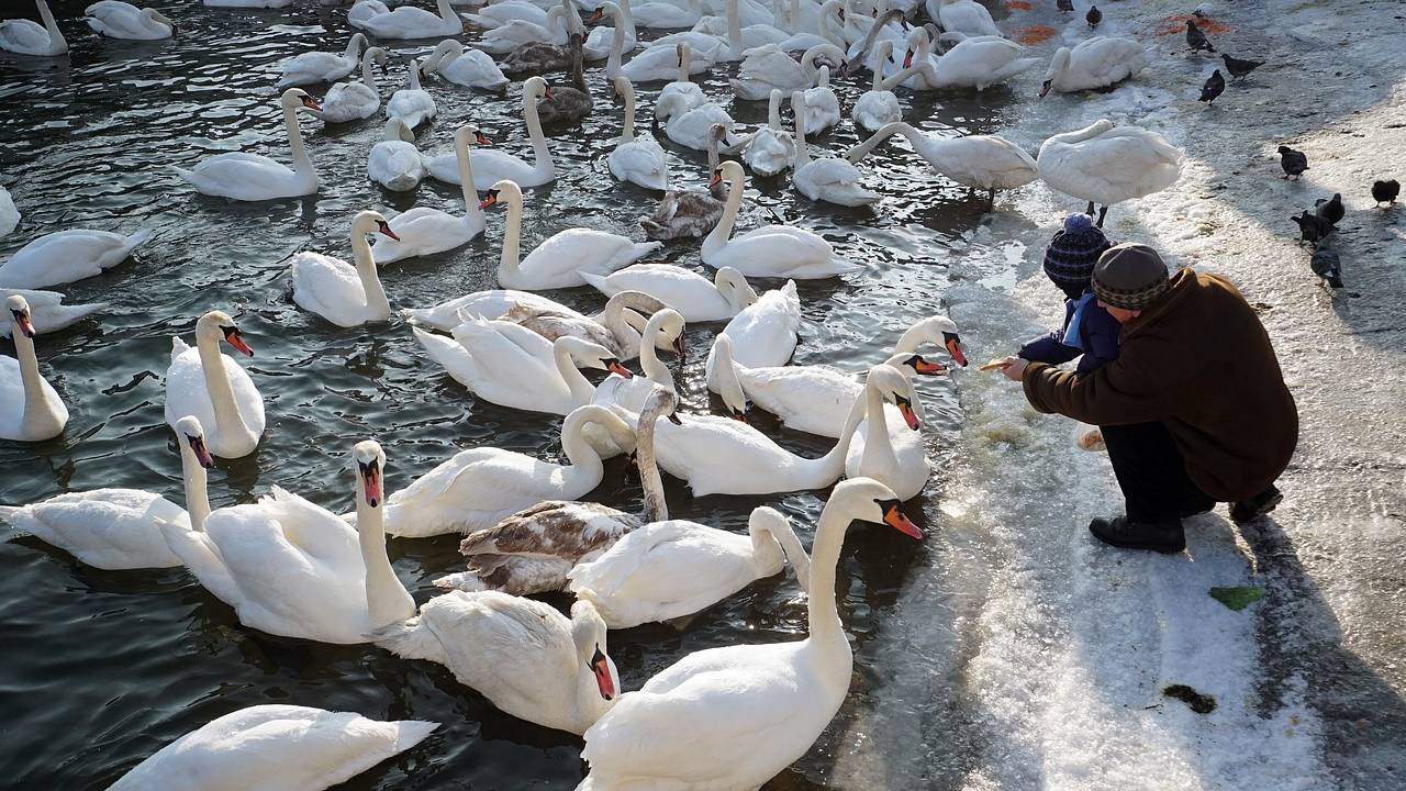 3 февраля: какой праздник отмечают в России и мире