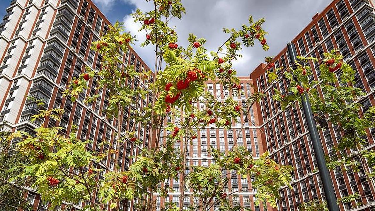 Раскрыты преимущества новых правил семейной ипотеки Раскрыты преимущества новых правил семейной ипотеки