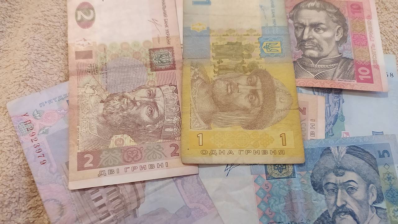 На Украине разворовали миллионы гривен из средств для инвалидов