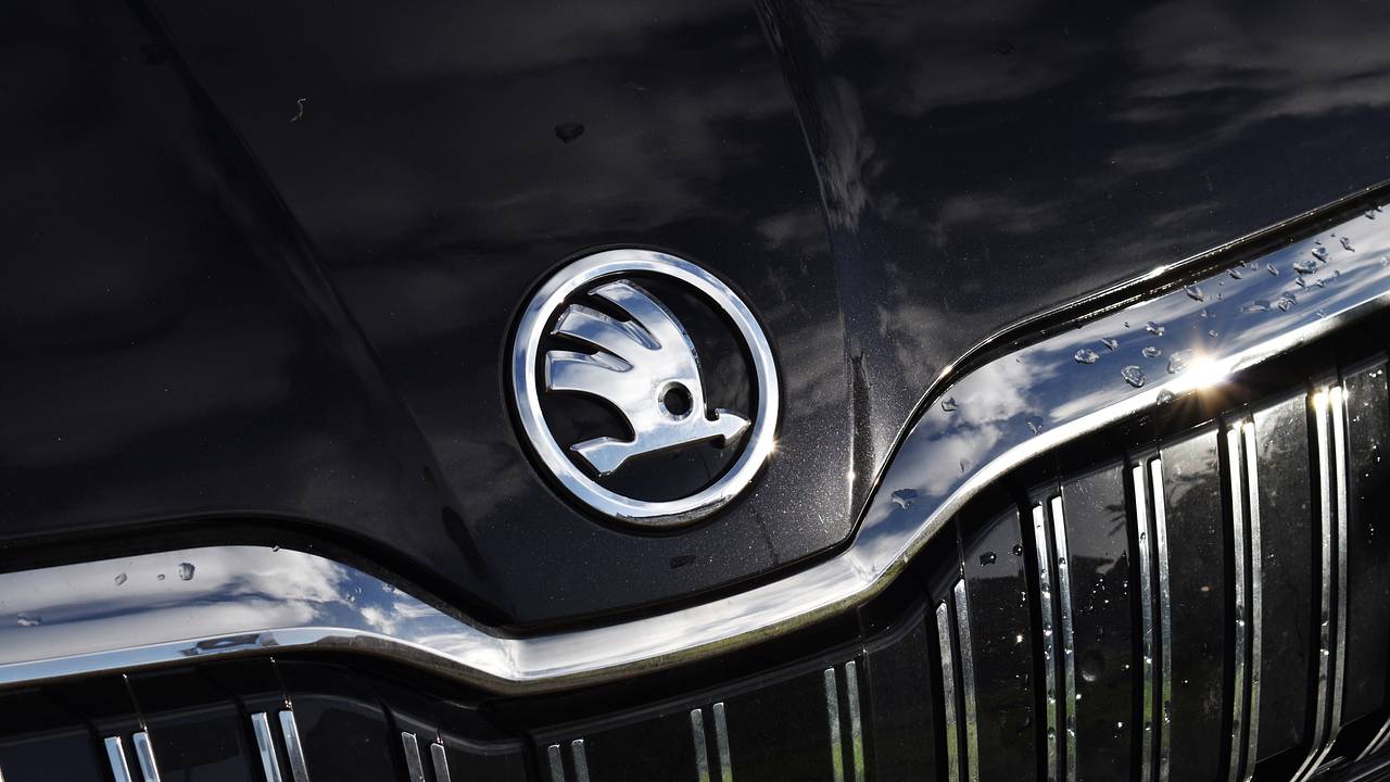 Названы главные проблемы популярной модели Skoda Названы главные проблемы популярной модели Skoda