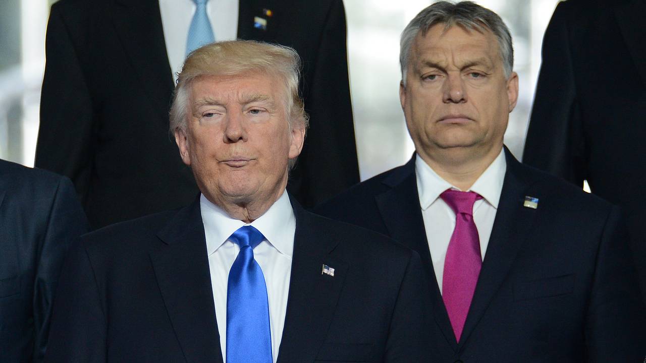 Трамп похвастался дружбой с Орбаном