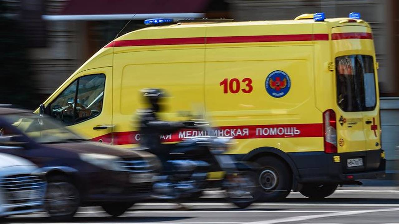 В России собака разорвала лицо ребенку