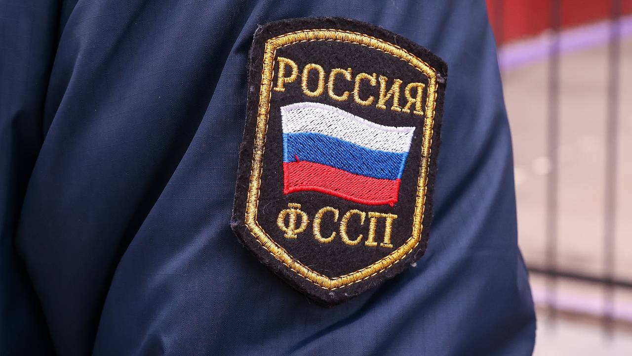 Россиянам напомнили о возможности лишиться животного за долги
