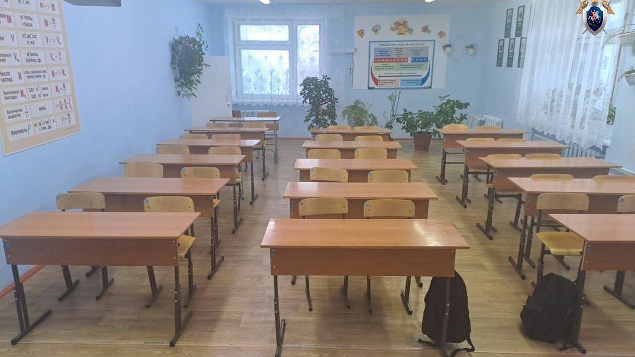 Россияне обратились к губернатору с просьбой после нападения школьницы с ножом