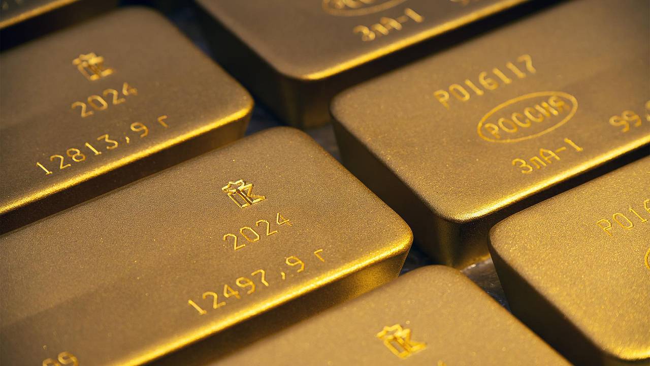 У россиянина попытались забрать полную золотых слитков сумку