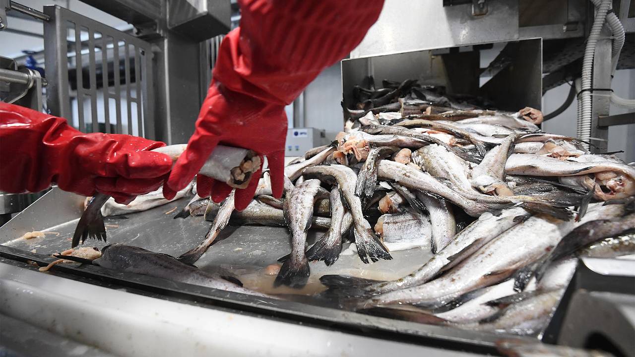 Евросоюз нарастил импорт некоторых российских продуктов