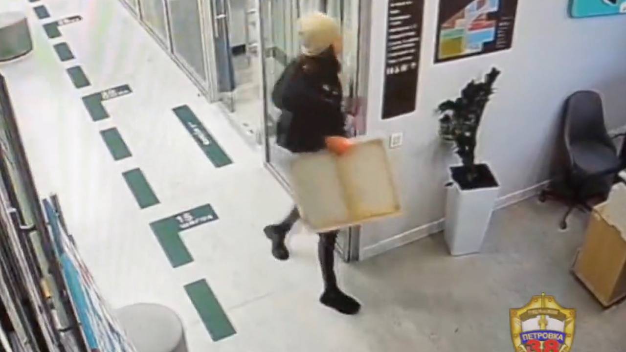 Похитившая картину с выставки в Москве женщина попала на видео