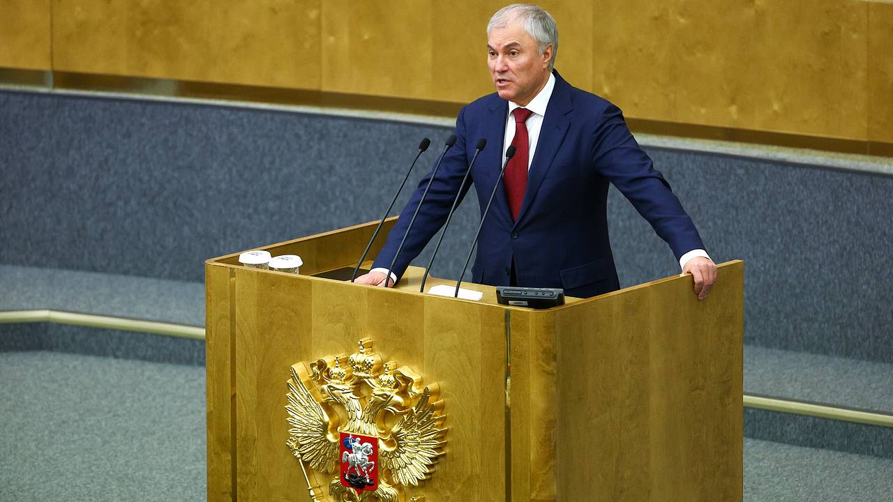Володин назвал причины нападений подростков в школах