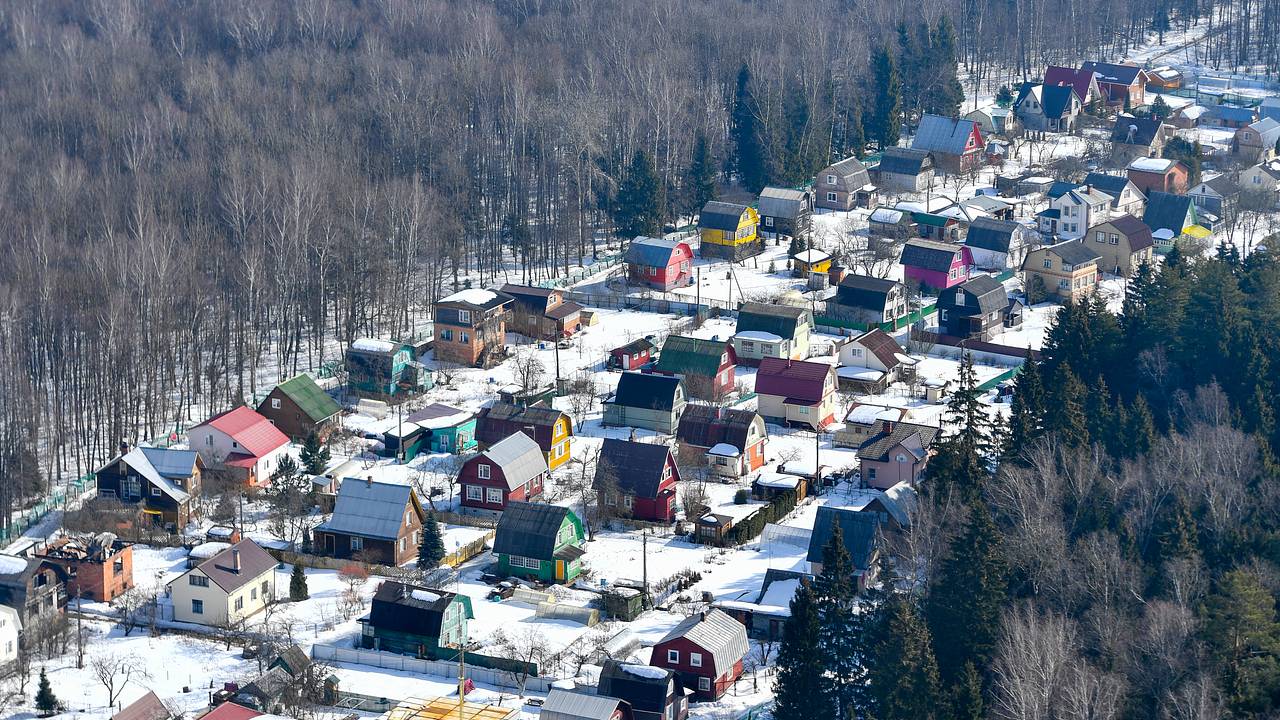 Дачников призвали провести ряд действий в конце февраля