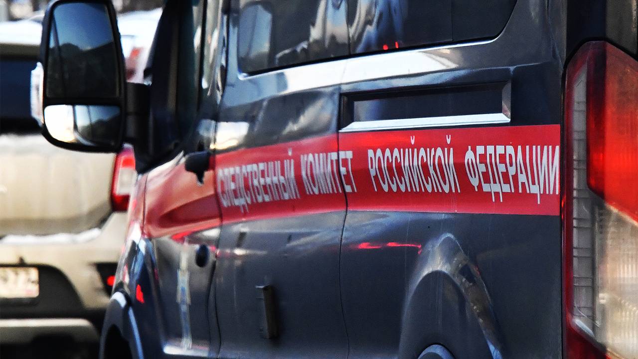 Расправившийся с матерью и братом россиянин избежал тюрьмы