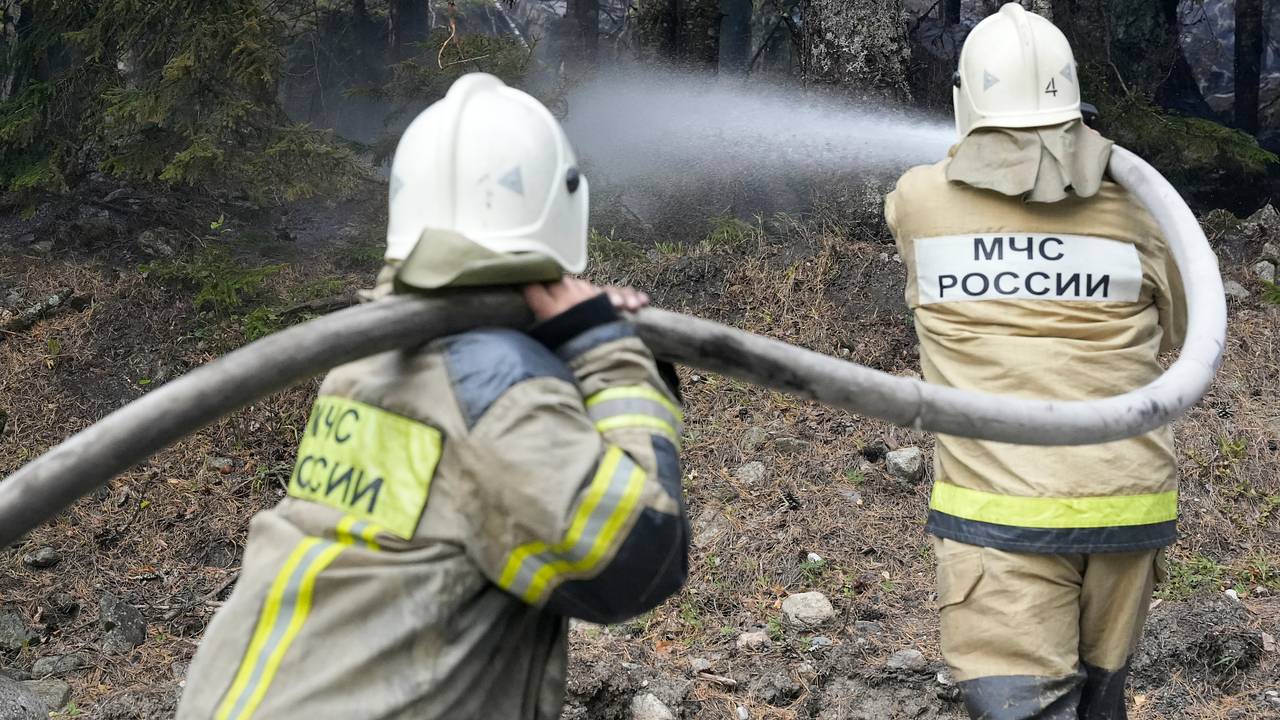 Подростки причинили ущерб лесу на 322 миллиона рублей в российском регионе