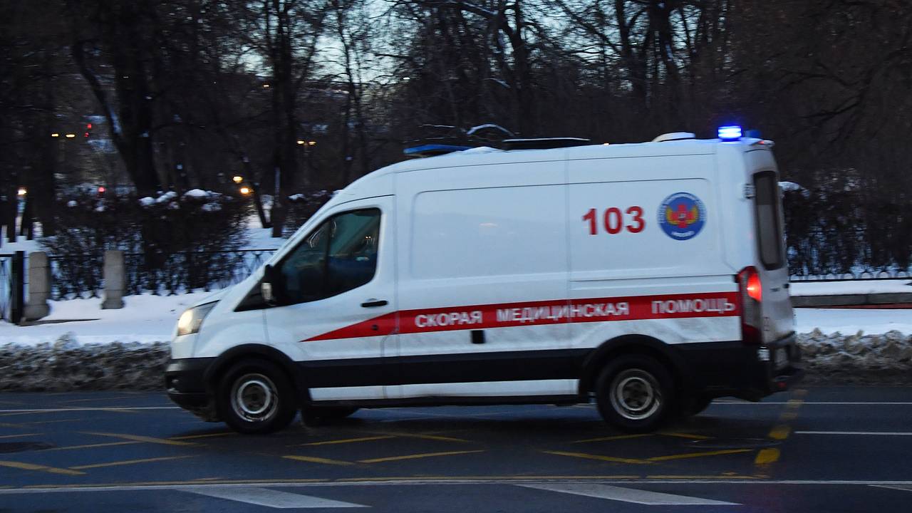 Россиянам объяснили появление толстых воробьев в городах