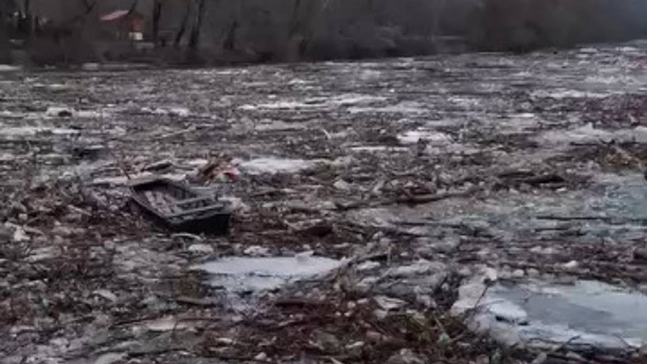 Горы мусора поплыли из Украины в Европу и попали на видео