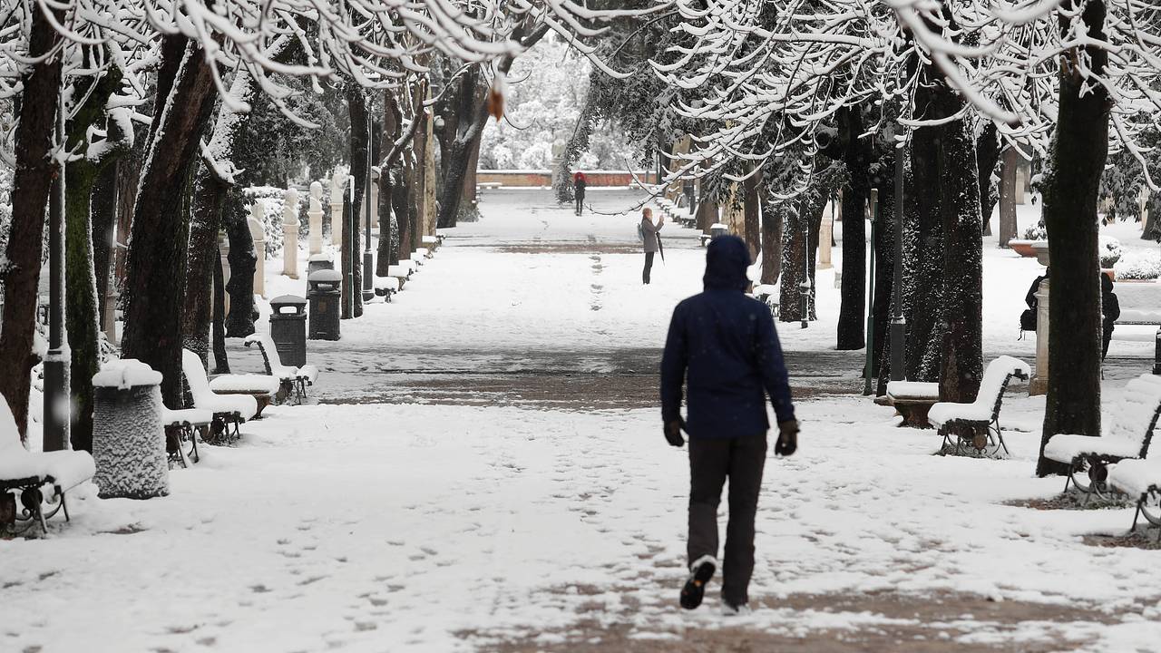 21-летнюю студентку попытались затащить в кусты и изнасиловать в Риме