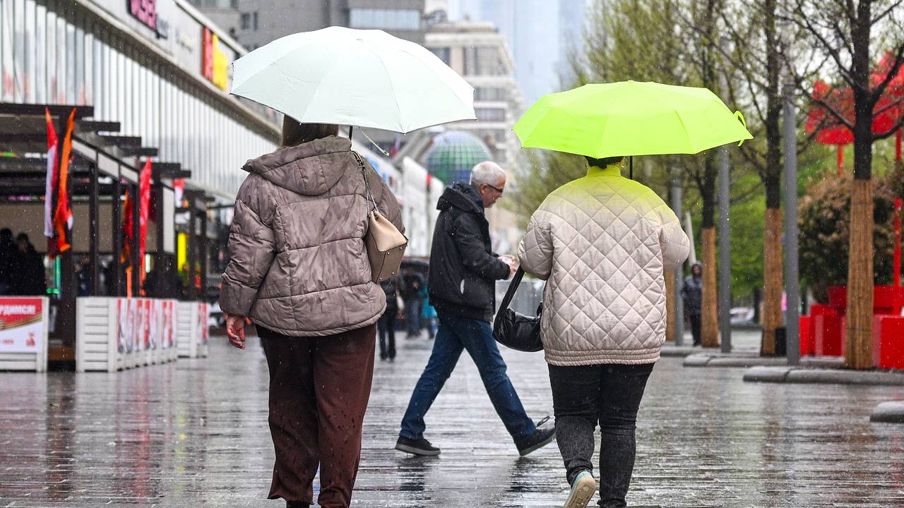 Назван срок окончательного прихода весны в Москву