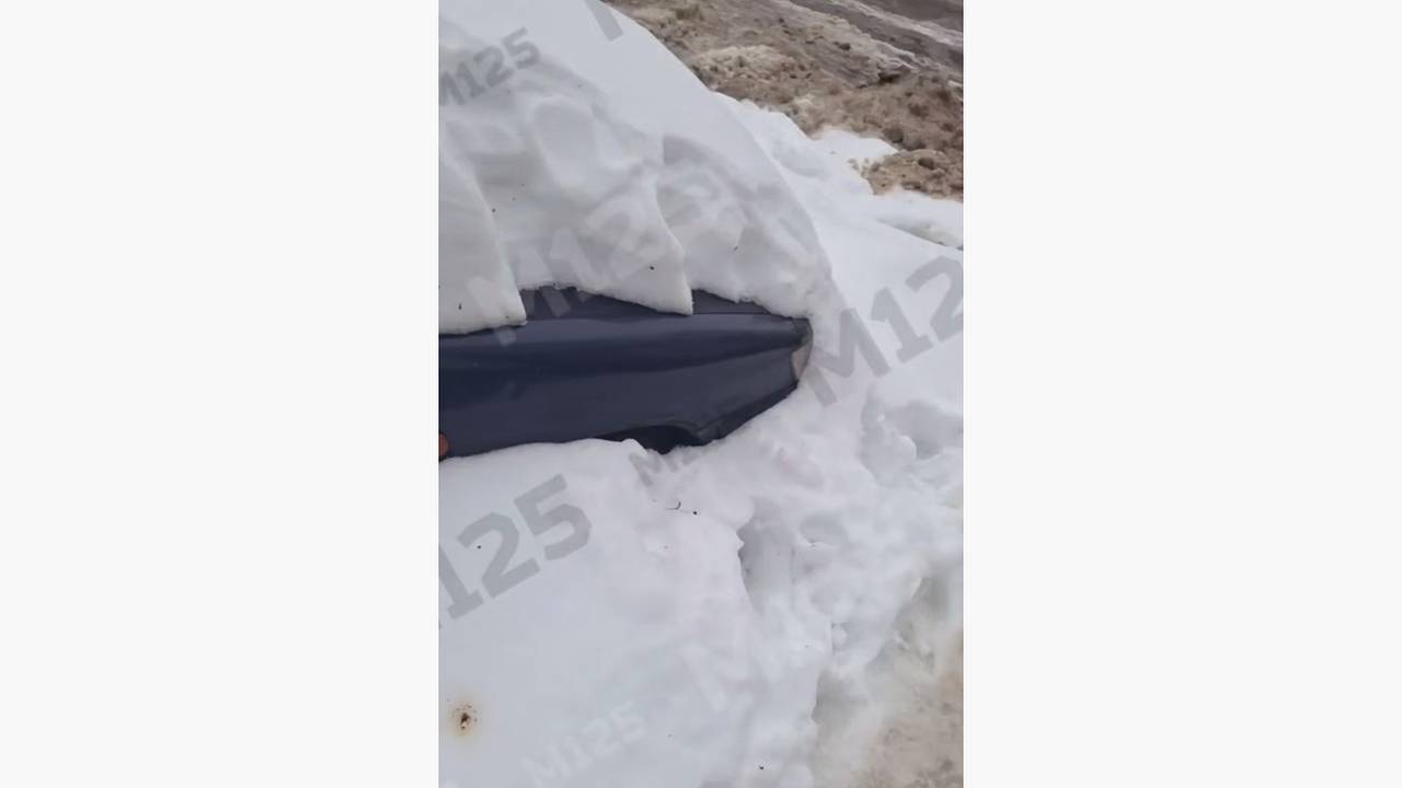 Необычный «подснежник» в Москве сняли на видео