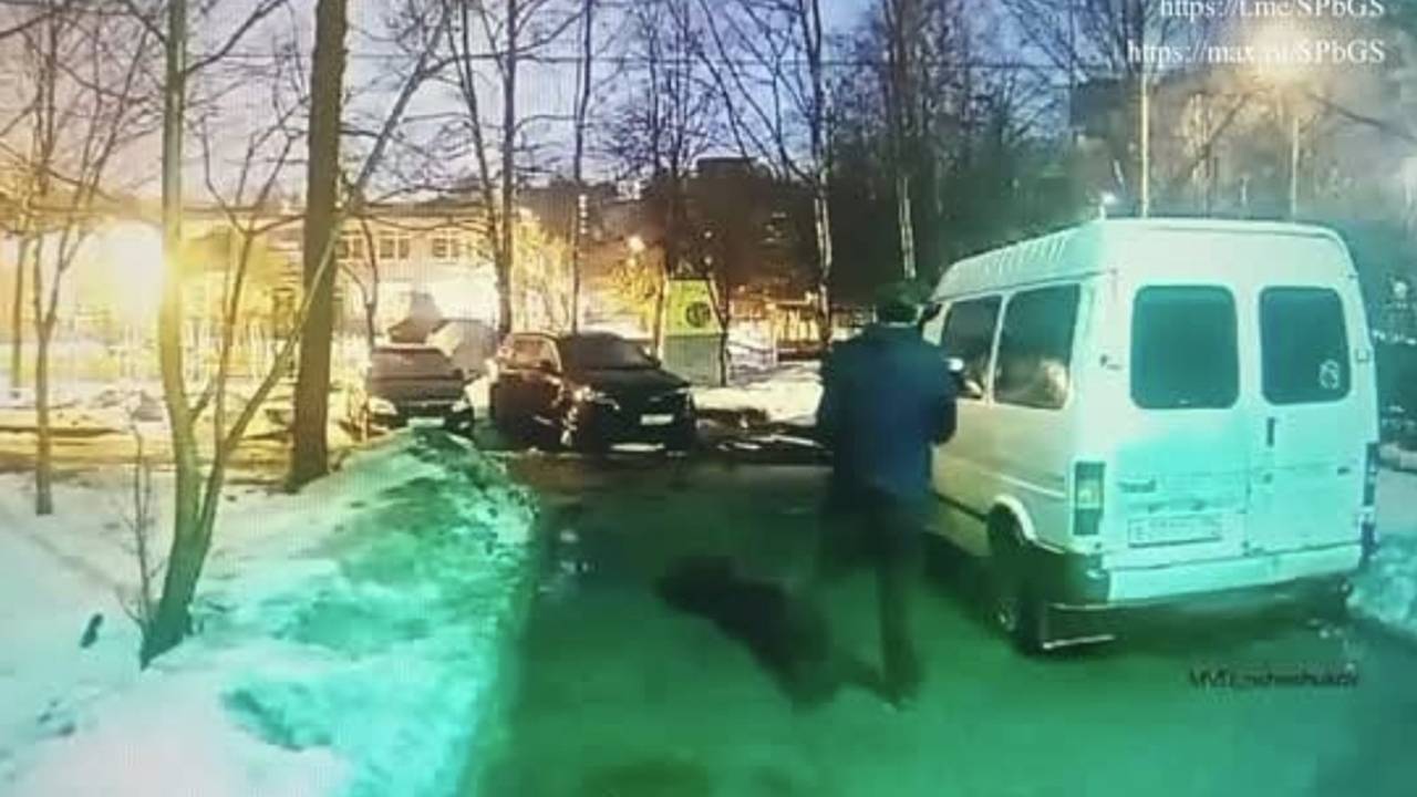 Спасавший с ножом в руках «похищенного ребенка» в российском городе попал на видео