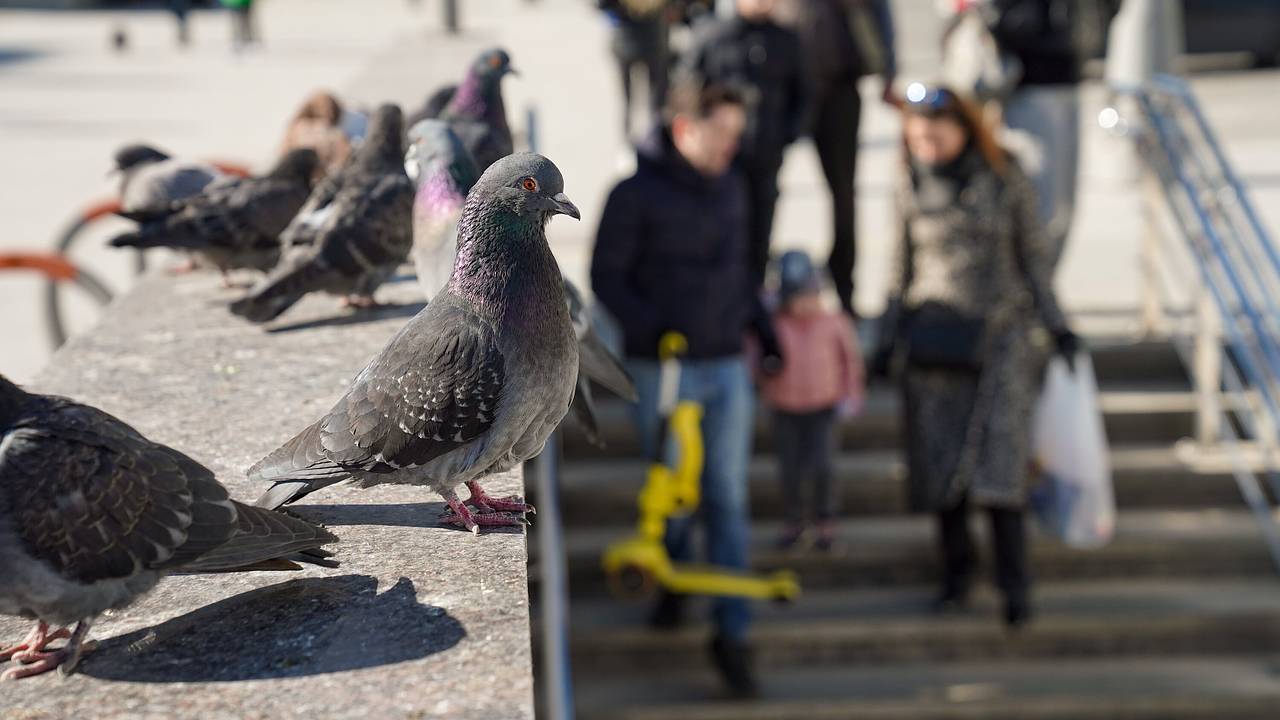 Москвичам пообещали скорое потепление