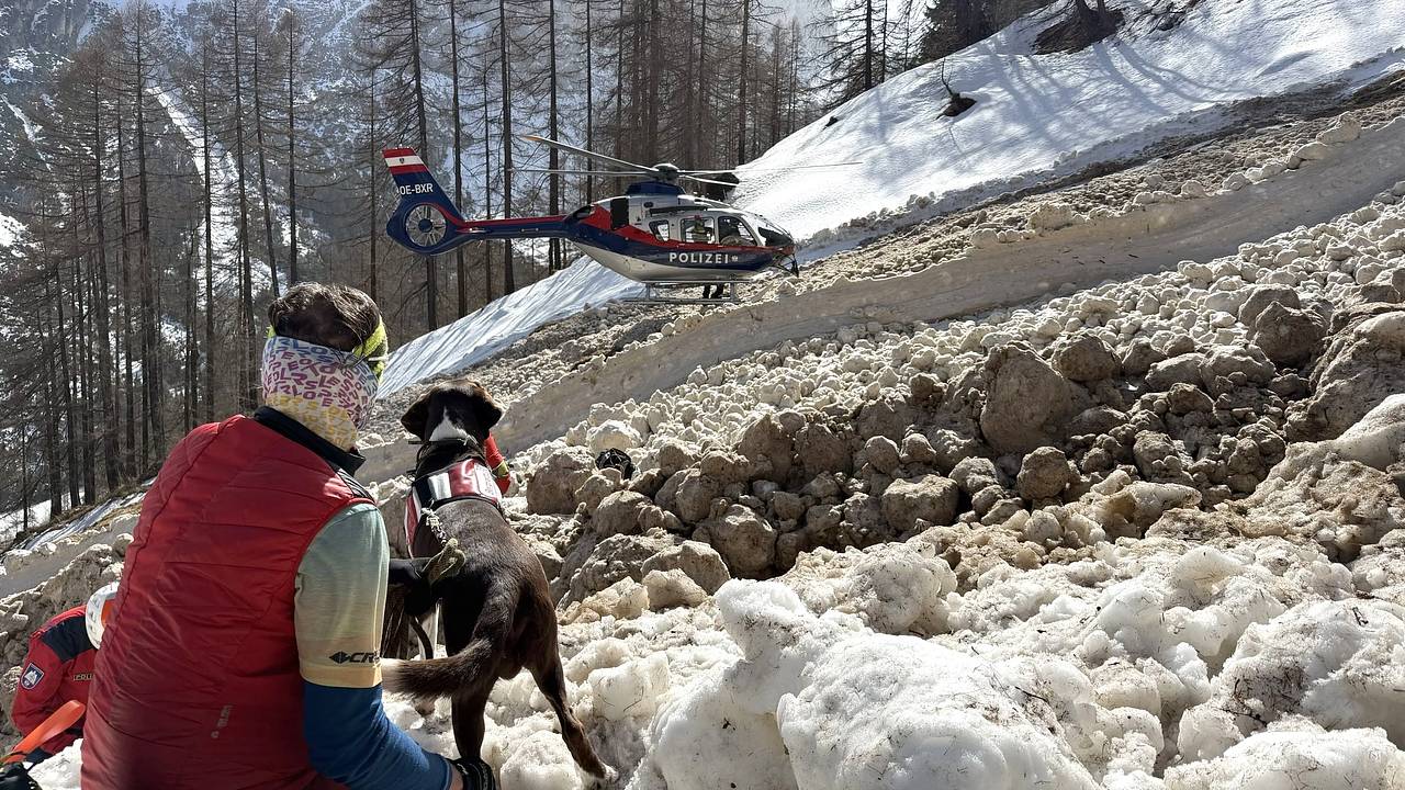 Турист оказался погребен заживо под снегом в горах Европы Турист оказался погребен заживо под снегом в горах Европы