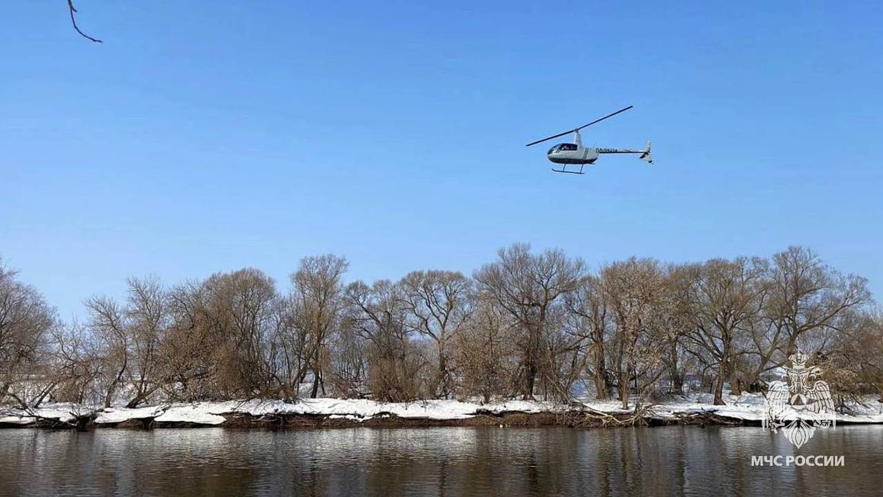 Раскрыты результаты опознания найденных в реке под Москвой детских тел