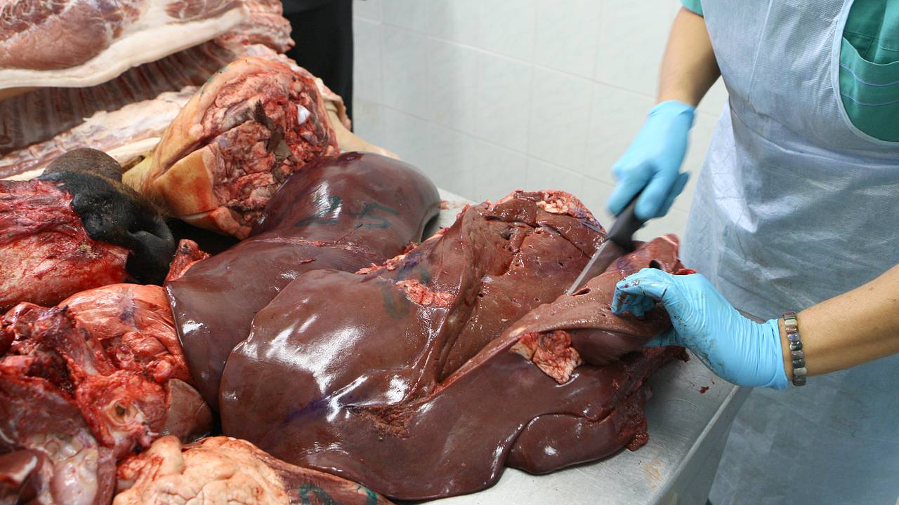 Россиянка описала один продукт в США фразой «загадка американской гастрономии»
