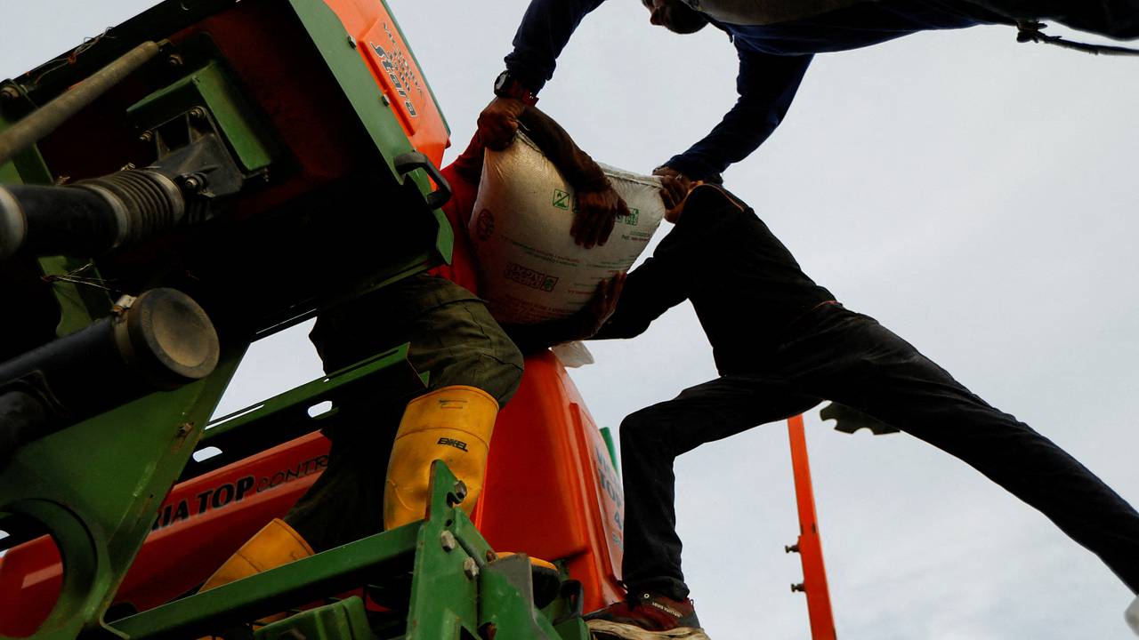 Влияние поставок из России на спасение мира от продовольственного кризиса оценили