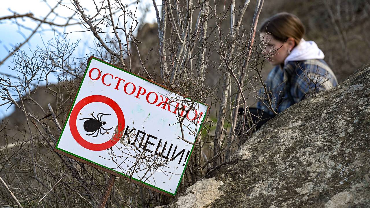 Россиян призвали готовиться к аномальному нашествию паразитов