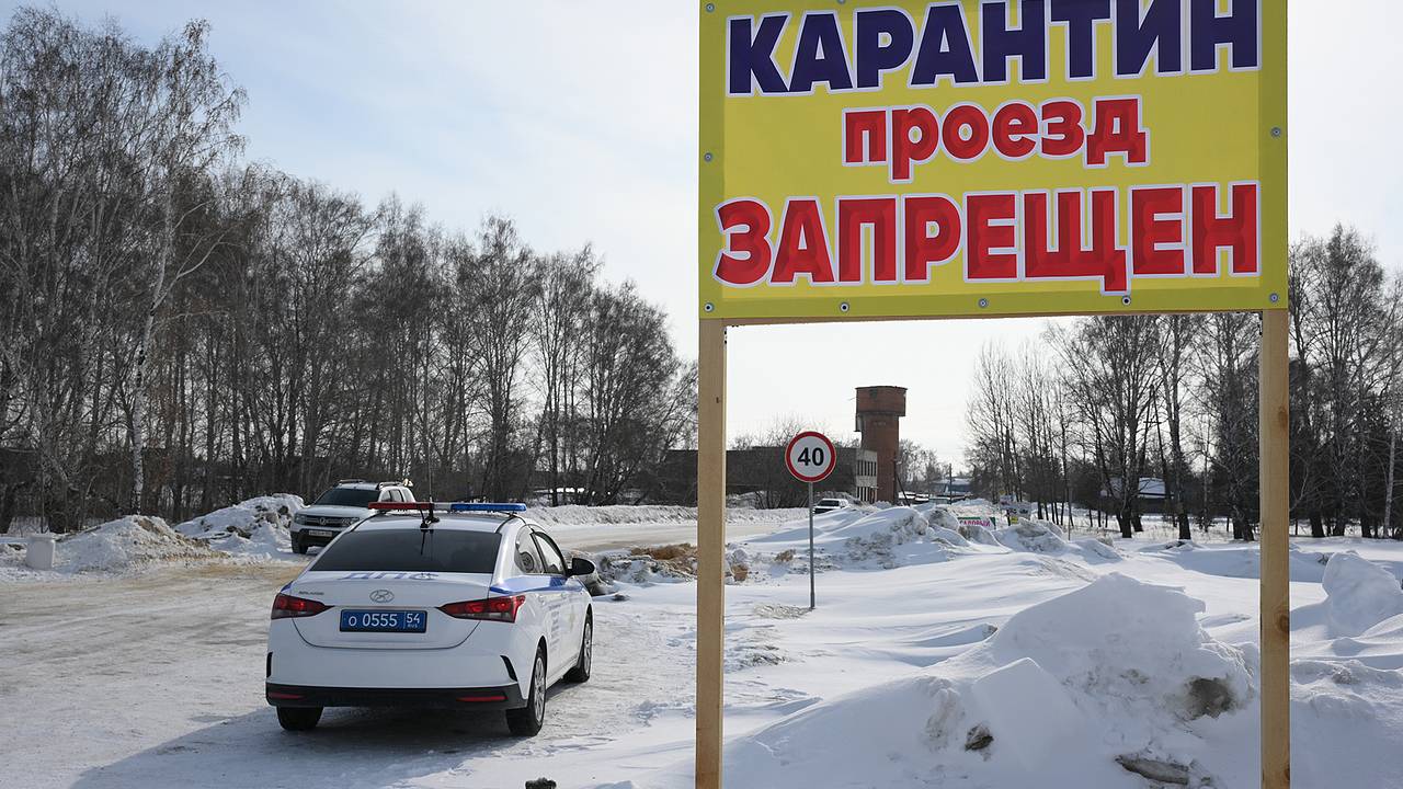В российском регионе решили заплатить лишившимся скота фермерам