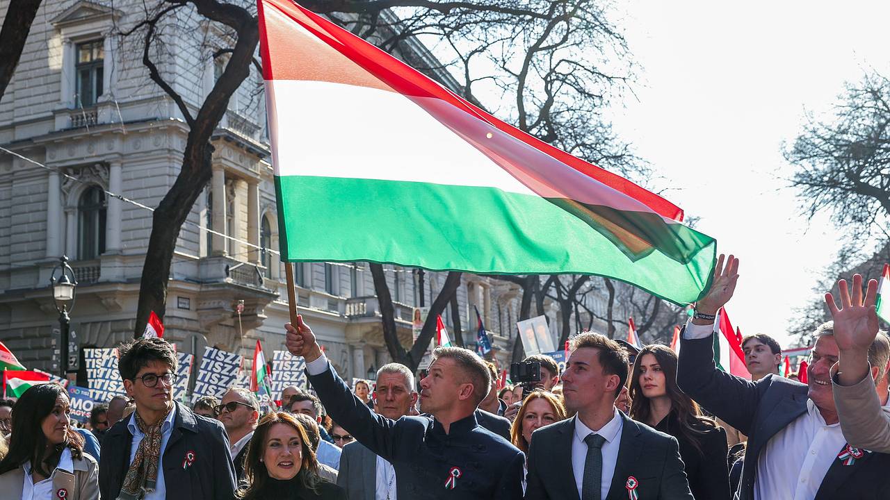 В Венгрии опровергли существование плакатов с Зеленским
