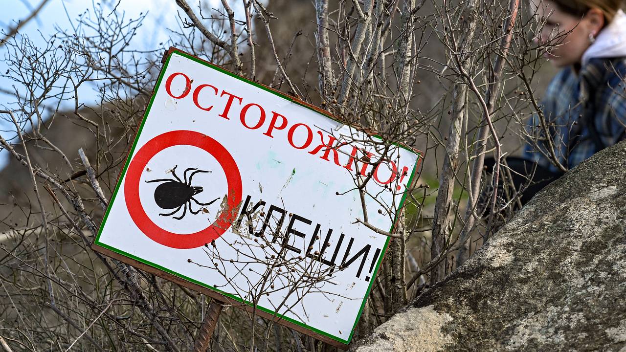 Москвичей предупредили о возможном нашествии опасных клещей-мутантов Москвичей предупредили о возможном нашествии опасных клещей-мутантов