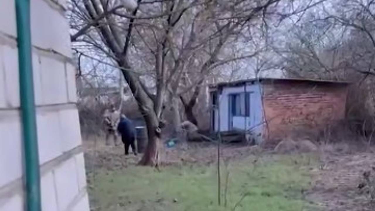 На Украине мобилизовали гуся
