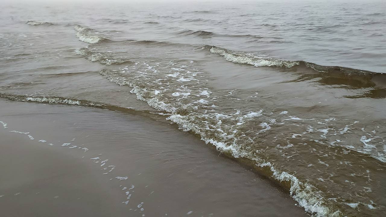 На берег Черного моря вынесло загадочную боеголовку