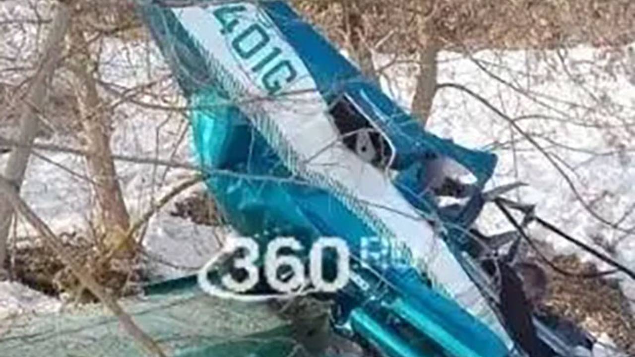 Появилось видео с места крушения самолета под Москвой