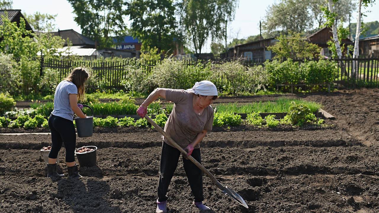 Россиян предупредили о сопутствующих началу дачного сезона опасных инфекциях