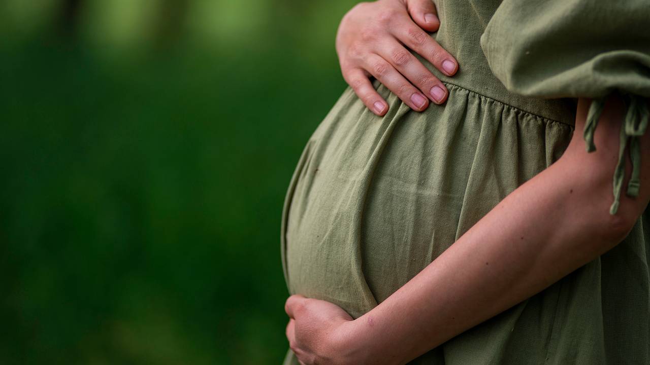 Пара использовала 14-летнюю девочку в качестве «суррогатной матери» Пара использовала 14-летнюю девочку в качестве «суррогатной матери»