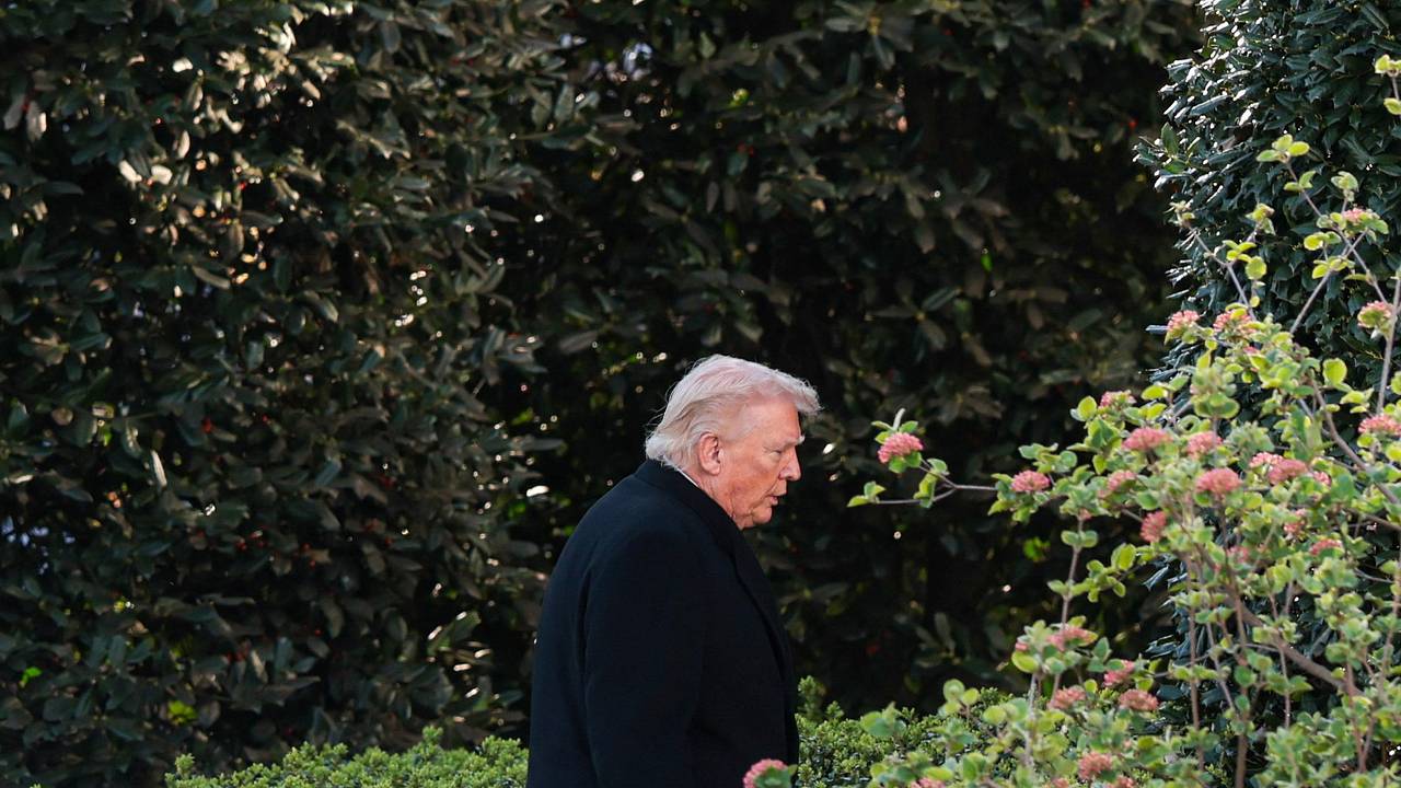 Страны Персидского залива разозлились на Трампа