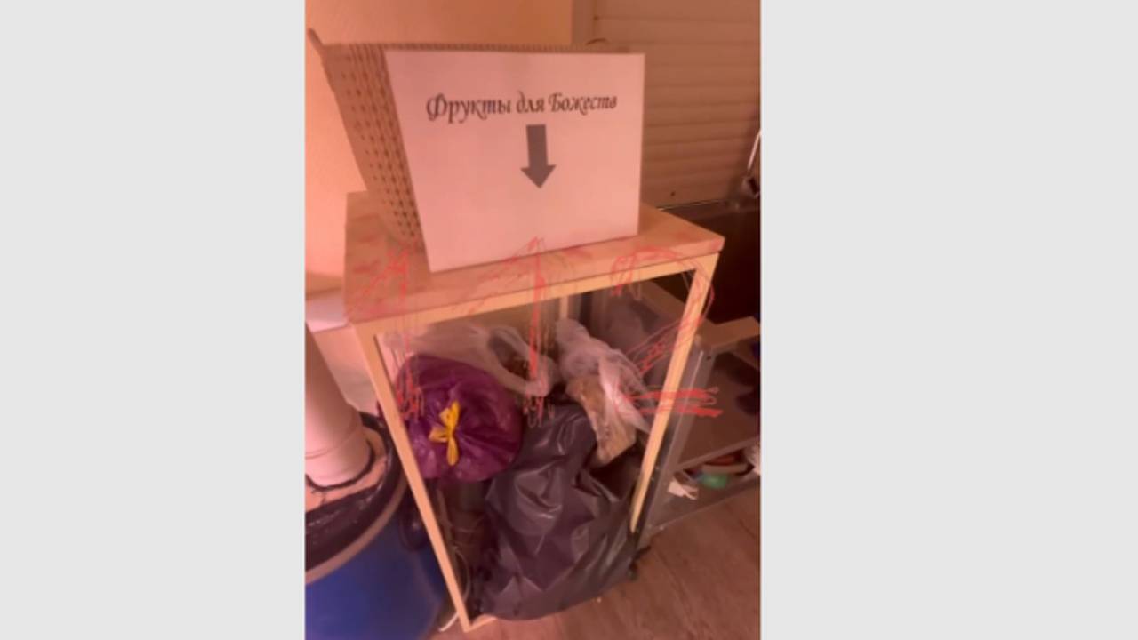 Школу с уклоном на вербовку детей в кришнаиты нашли в Подмосковье