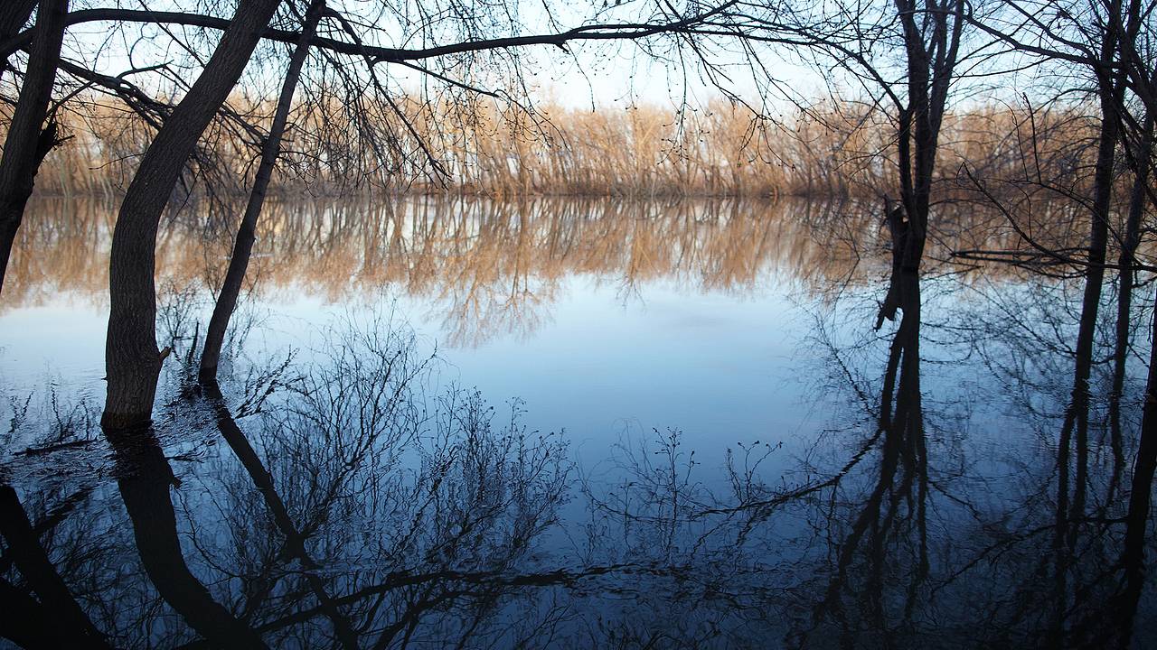 Названы регионы России с опасным уровнем воды в реках