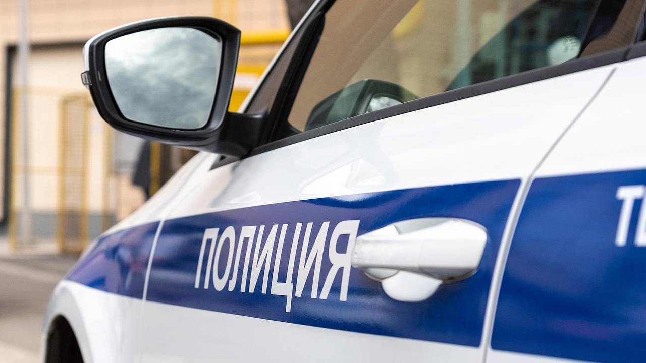 Россиянка покормила бездомную собаку и сломала ребро соседке за замечание