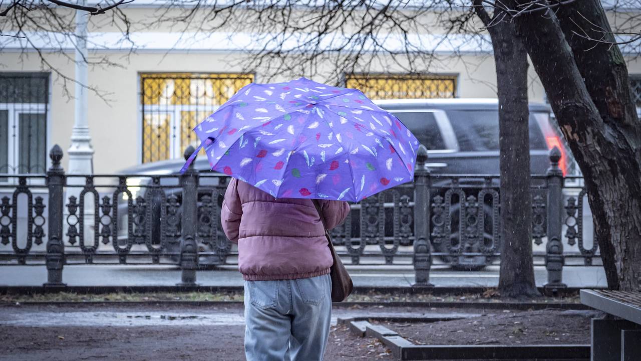 Силу грядущих в Москве дождей оценили