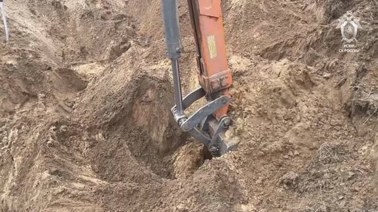 Вскрытая могила с 12 телами у поселка в ЛНР попала на видео