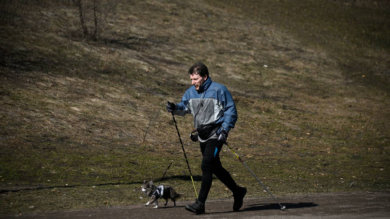В Москве «обнулился» снег