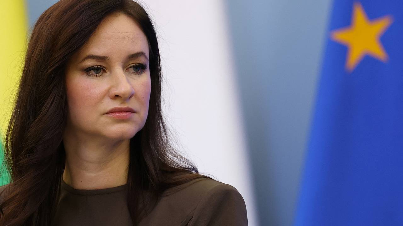Премьер Литвы высказалась об украинских дронах над республикой Премьер Литвы высказалась об украинских дронах над республикой
