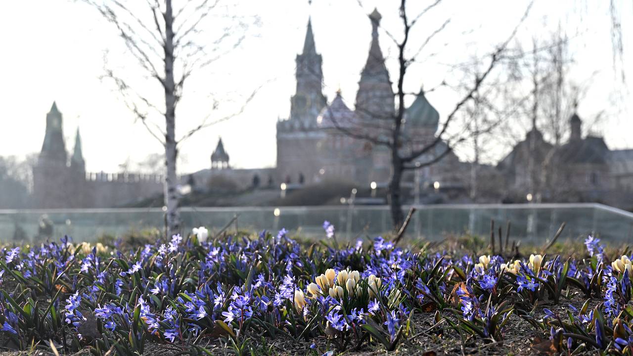 В России изменился климат