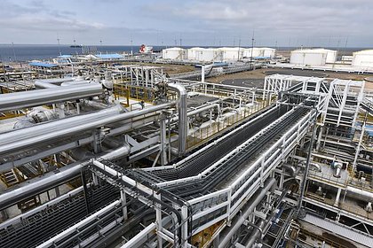 Власти Ленобласти высказались о разливе нефти в Финском заливе