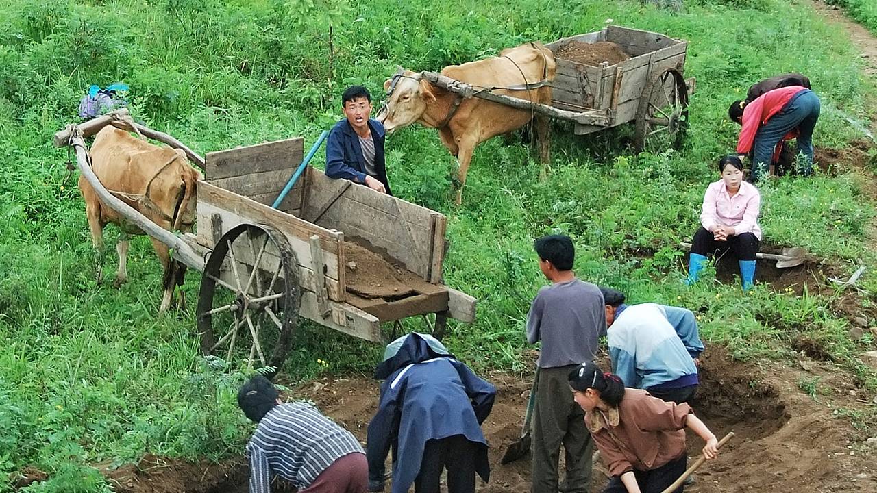 Северная Корея восстановит колхозную систему