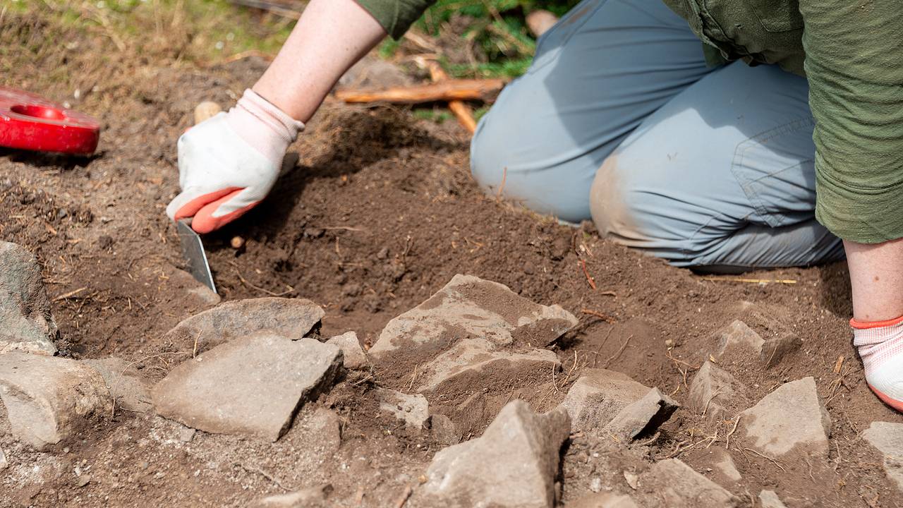 В Германии нашли следы человеческих жертвоприношений