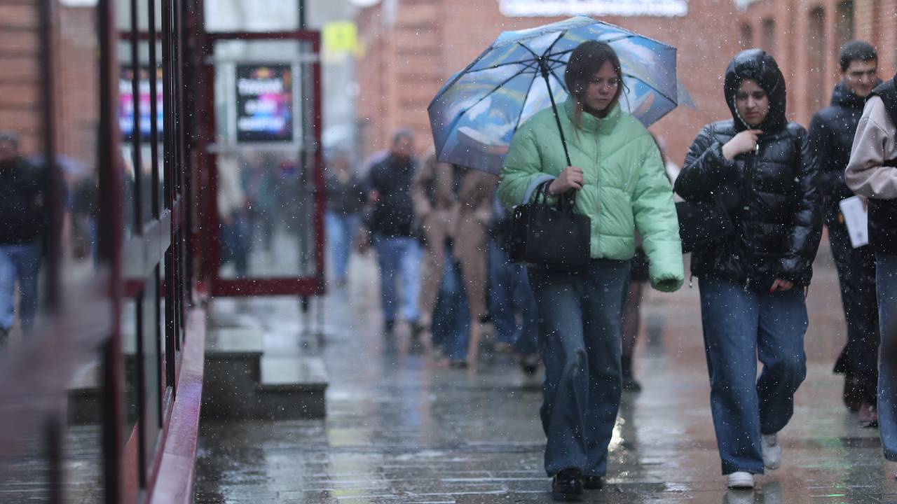 Москвичам назвали срок исчезновения снега
