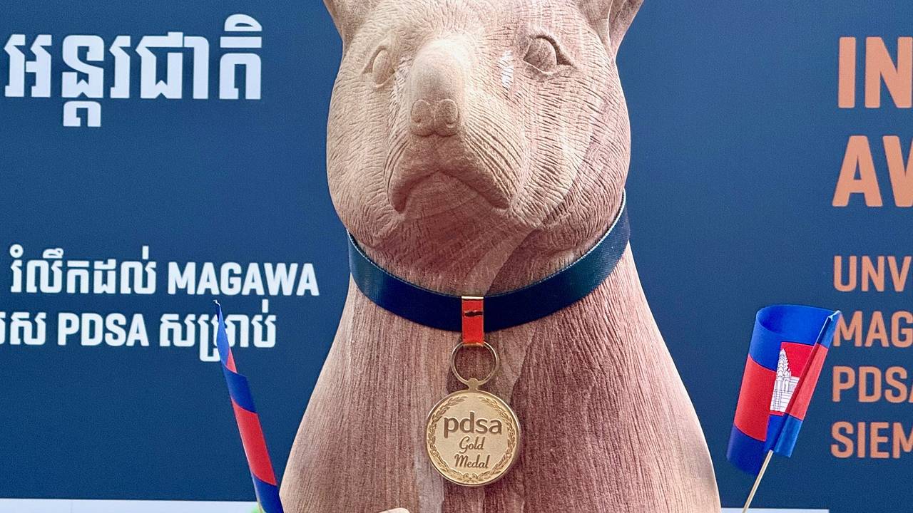 Спасшей десятки человек гигантской крысе-саперу поставили памятник